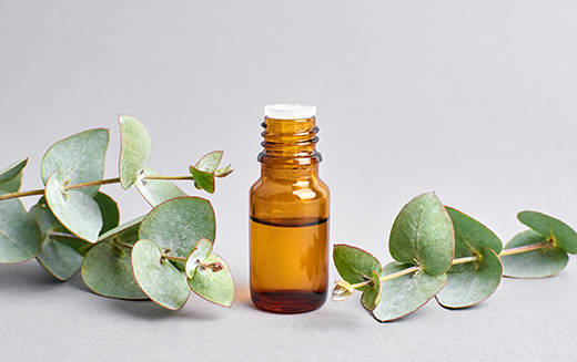 7 Smart Ways To Use Eucalyptus Oil At Home